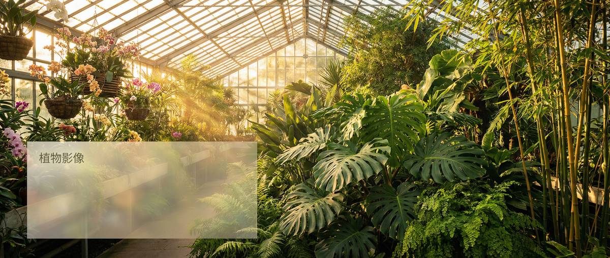 大奶Banner - 国内知名大奶平台wcaxvL.cn