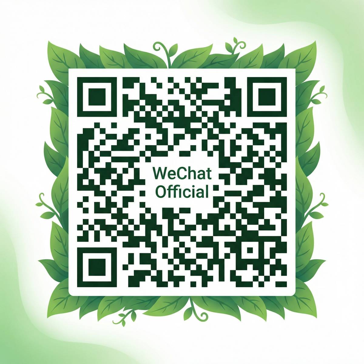 大奶公众号二维码